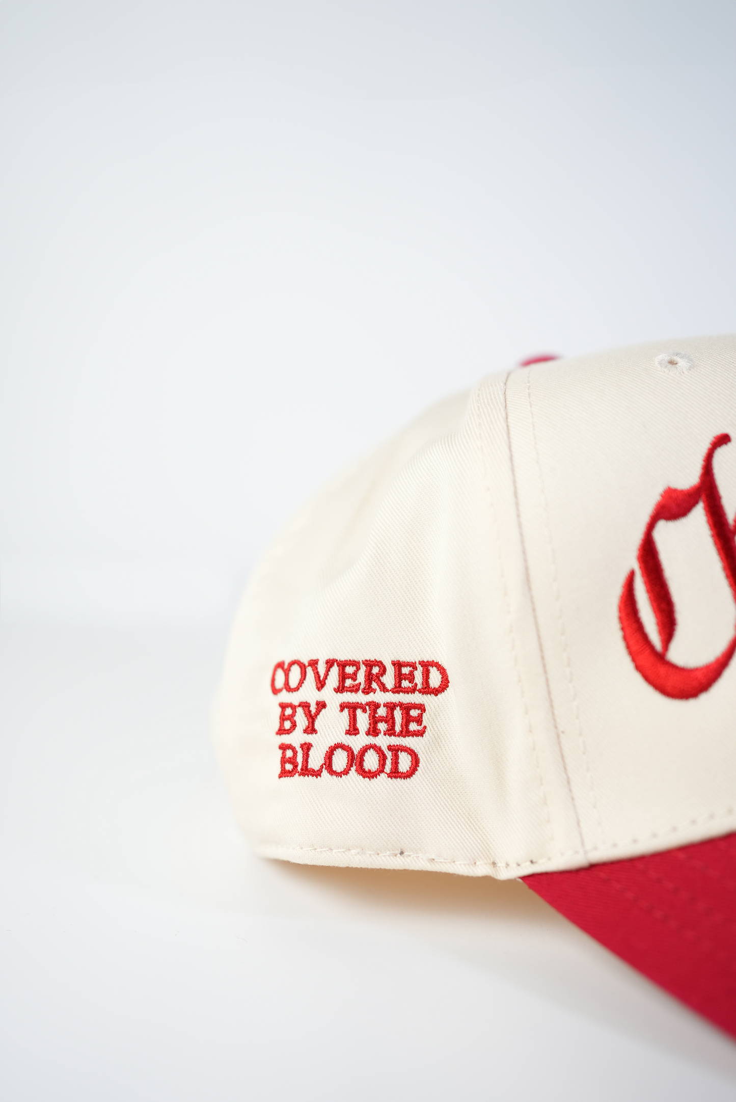 Covered by the Blood