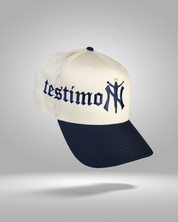 Testimony
