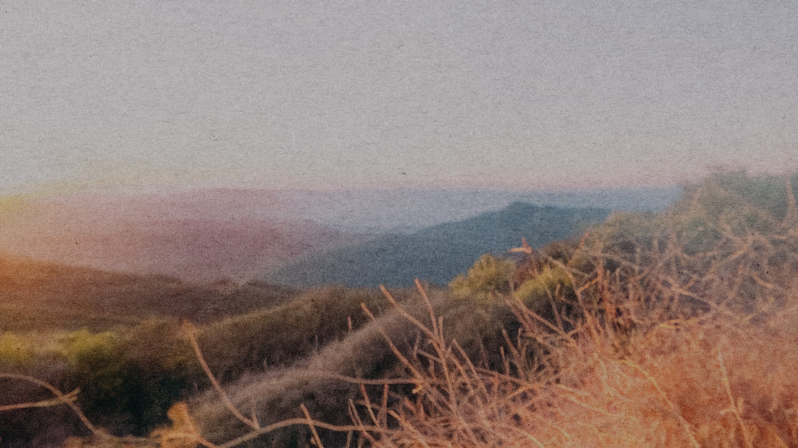 backgroundforcover.jpg